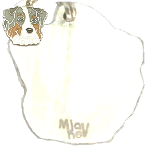 Namnbrickor för hundar MjavHov - Graverade ID-brickor webbshop